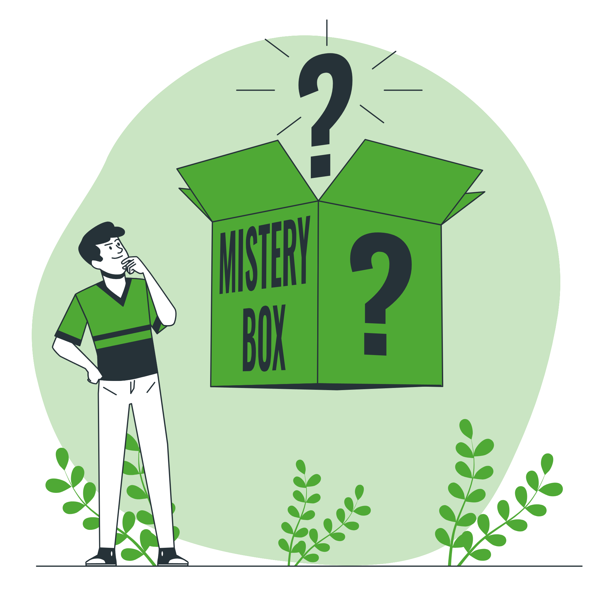 Mystery box-bro